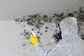 Best Emergency Mold Remediation  in South Fulton, GA